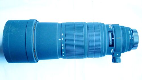 Sigma nikon fit hsm - fit, ex